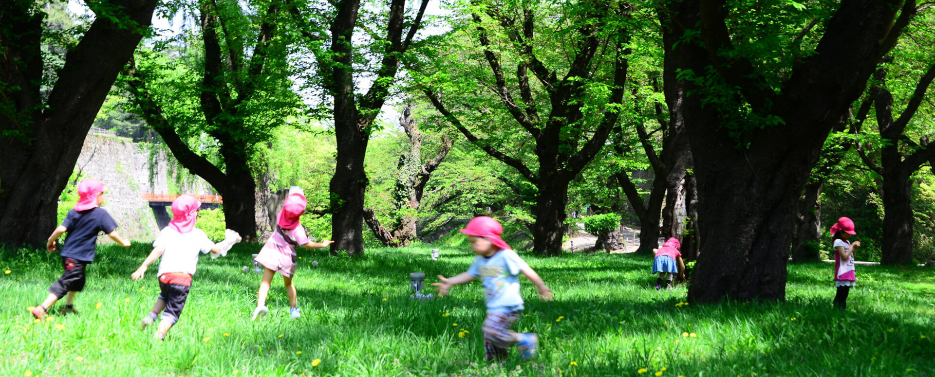 成瀬駅前保育園だんでらいおん